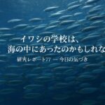Thumbnail of post image 139