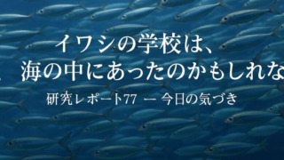 Thumbnail of post image 015