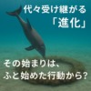 Thumbnail of related posts 124