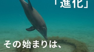 Thumbnail of post image 018