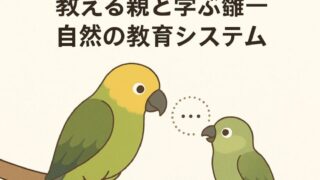 Thumbnail of post image 031
