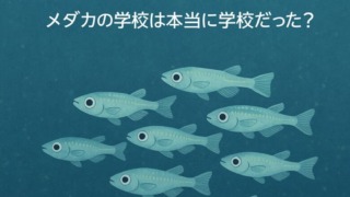 Thumbnail of post image 103
