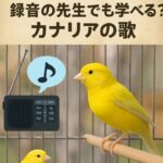 Thumbnail of new posts 099