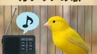 Thumbnail of post image 144