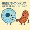 Thumbnail of new posts 136