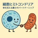 Thumbnail of related posts 078