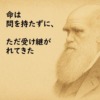 Thumbnail of related posts 122