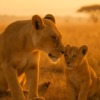 Thumbnail of related posts 087