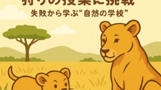 Thumbnail of post image 121