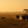 Thumbnail of new posts 045