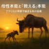 Thumbnail of new posts 023